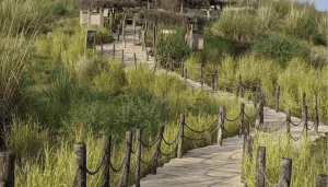 A Kishan Bagh Jaipur Guide- Entry Fee, Timings, Location