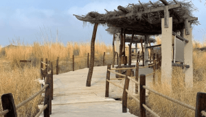 A Kishan Bagh Jaipur Guide- Entry Fee, Timings, Location